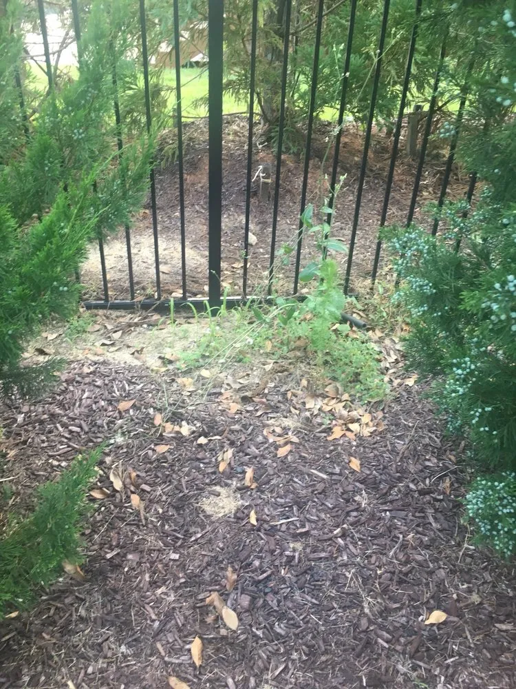 Top-rated yard maintenance in Youngsville, NC - North Carolina Turf Care