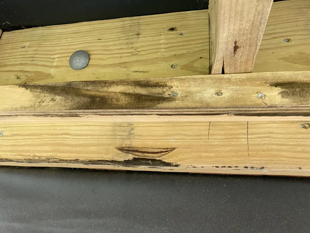 Trusted lawn care service for residential properties across Youngsville, NC - North Carolina Turf Care