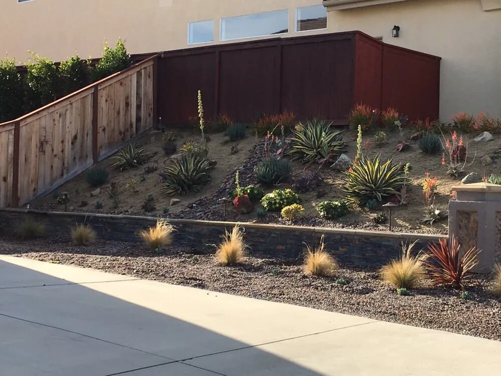 Top-rated lawn mowing service for outdoor upgrades across San Marcos, CA - North Coast Arborist