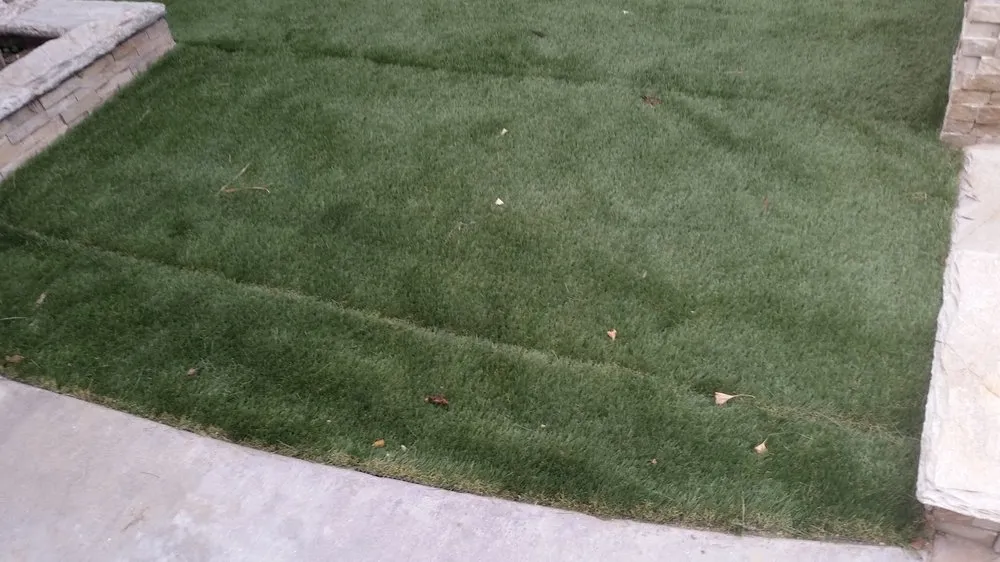 Professional outdoor landscaping for year-round maintenance across San Marcos, CA - North Coast Arborist