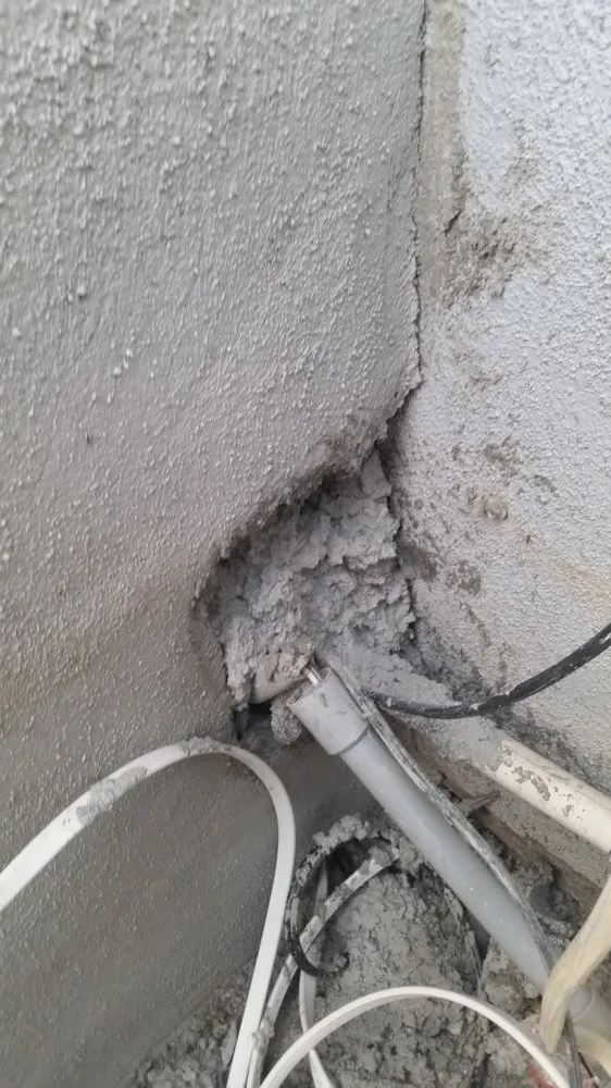 Expert landscaping services in San Marcos, CA by North Coast Arborist