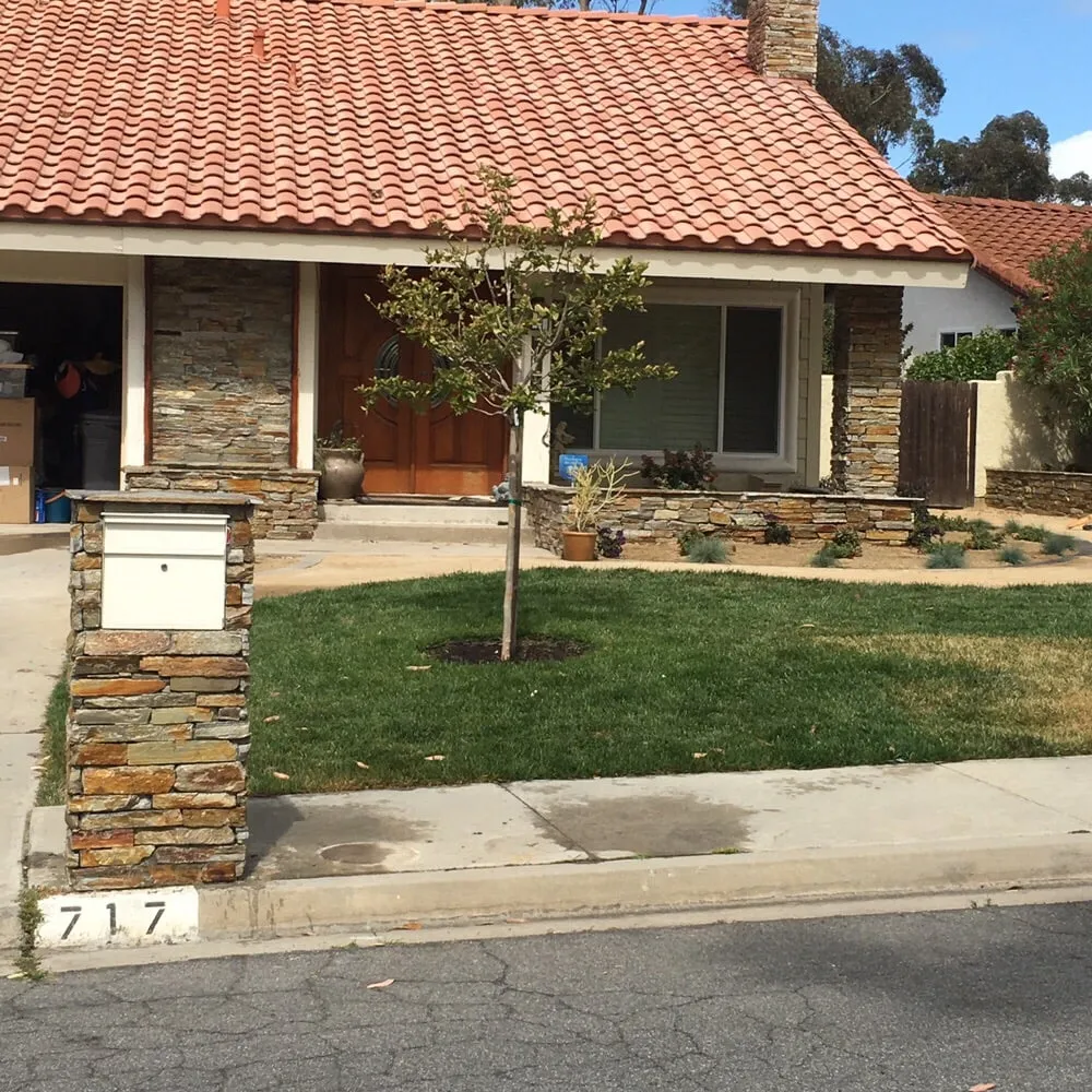 Top-rated lawn care service in San Marcos, CA by North Coast Arborist