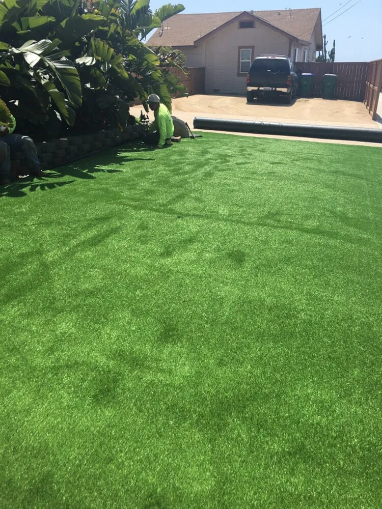 Top-rated outdoor landscaping in San Marcos, CA - North Coast Arborist