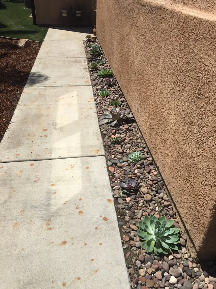 Local lawn care service for beautiful yards across San Marcos, CA - North Coast Arborist