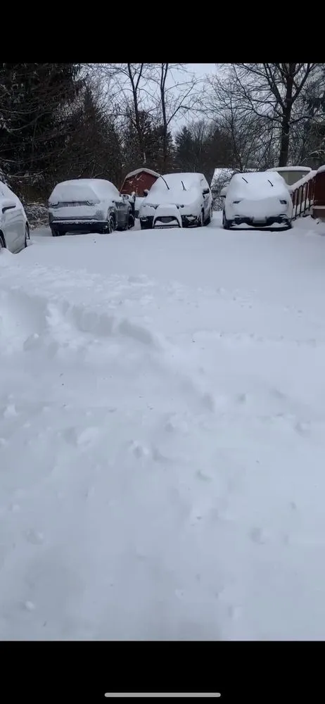 Professional lawn care service with custom design across Chagrin Falls, OH - North Coast Landscaping & Snow Removal