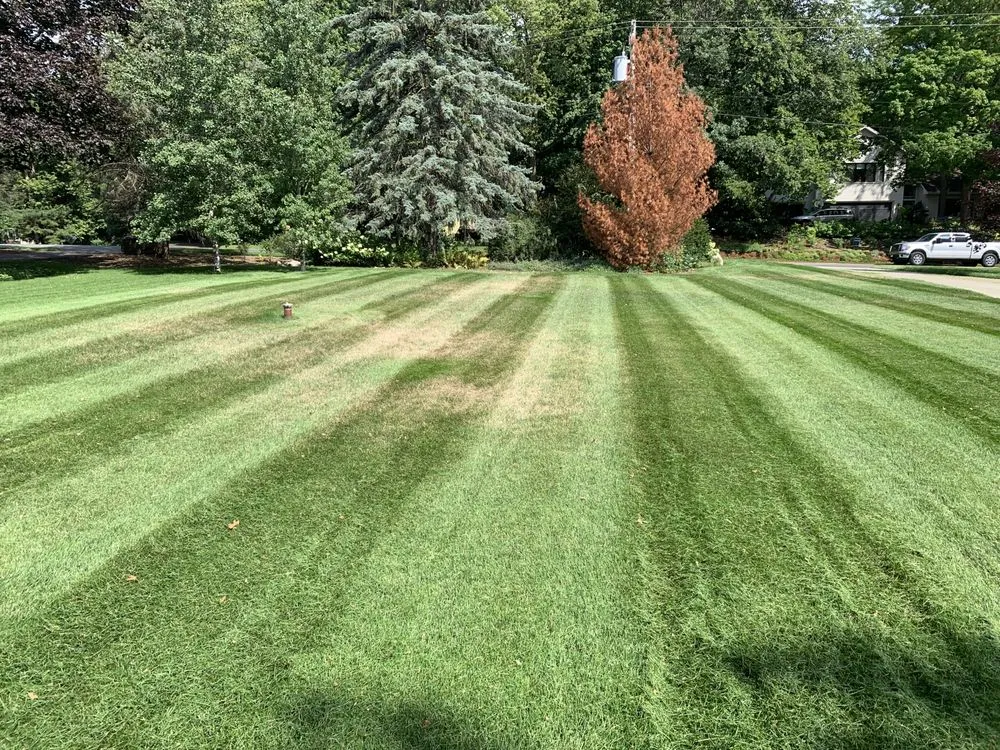 Local residential landscaping experts serving Chanhassen, MN - North Country Landscaping