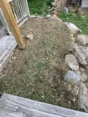 Reliable lawn care service experts serving Chanhassen, MN - North Country Landscaping