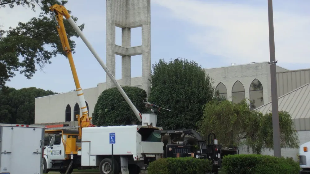 Reliable yard cleanup service with custom design across Saint James, NY - North Country Tree & Landscaping