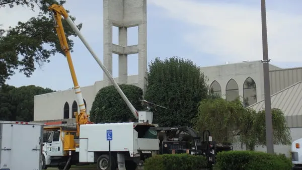 North Country Tree & Landscaping