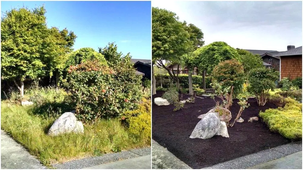 Professional lawn care service for beautiful yards across Ferndale, WA - North County Landscape