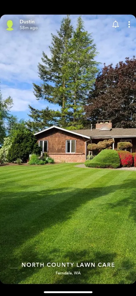 Affordable landscaping services experts serving Ferndale, WA - North County Landscape