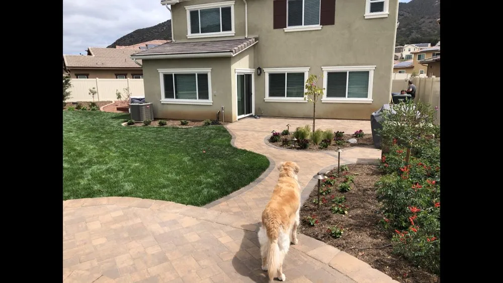 Trusted yard cleanup service in Murrieta, CA - North County Landscape
