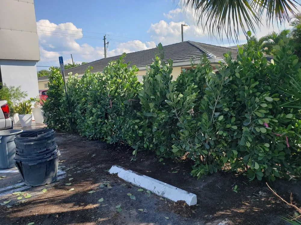 Trusted outdoor landscaping experts serving North Palm Beach, FL - North County Lawn