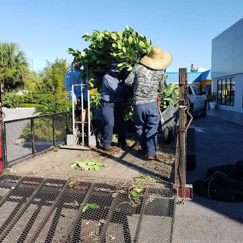 Local residential landscaping experts serving North Palm Beach, FL - North County Lawn