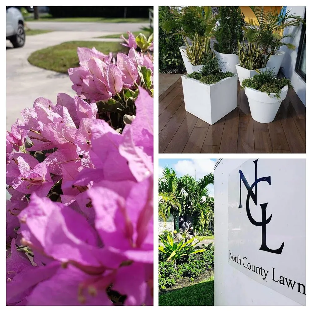 Trusted lawn mowing service in North Palm Beach, FL - North County Lawn