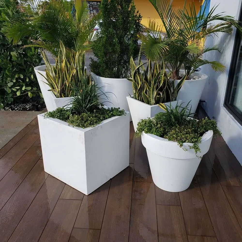 Local lawn mowing service in North Palm Beach, FL by North County Lawn