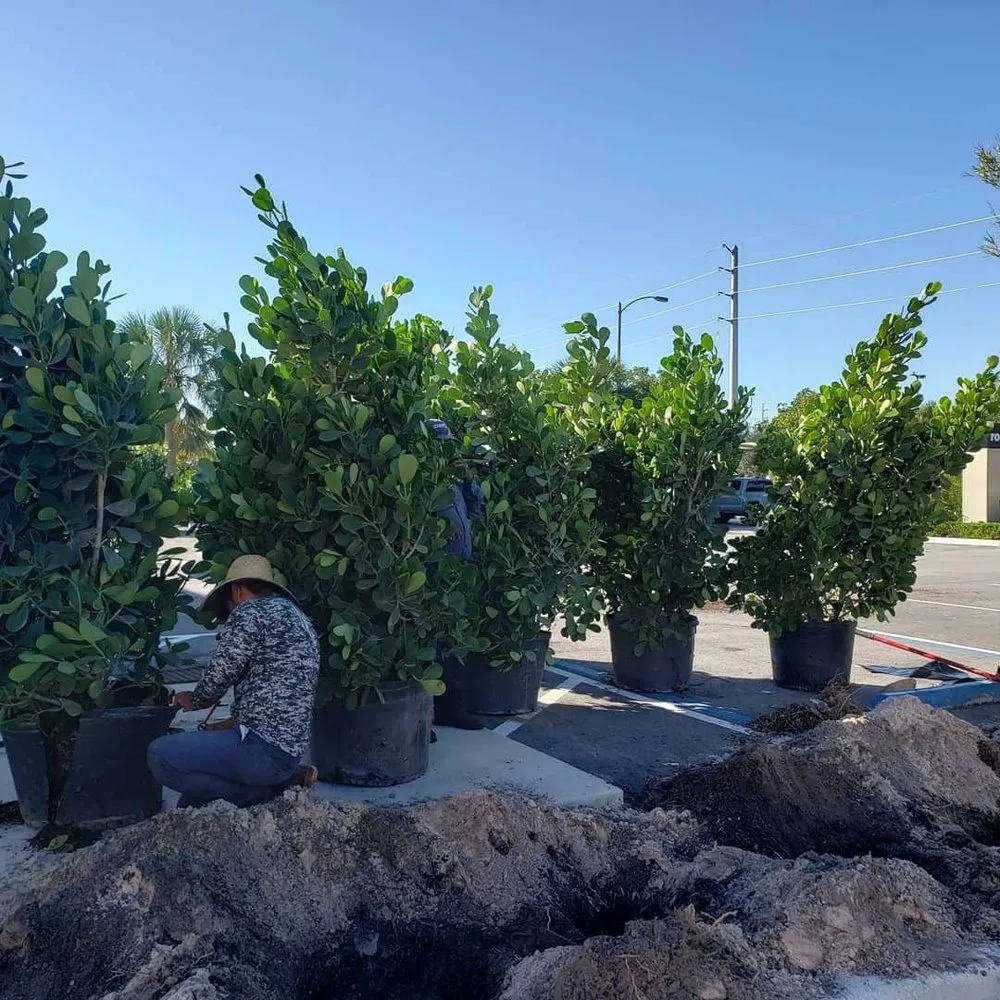 Professional residential landscaping in North Palm Beach, FL - North County Lawn