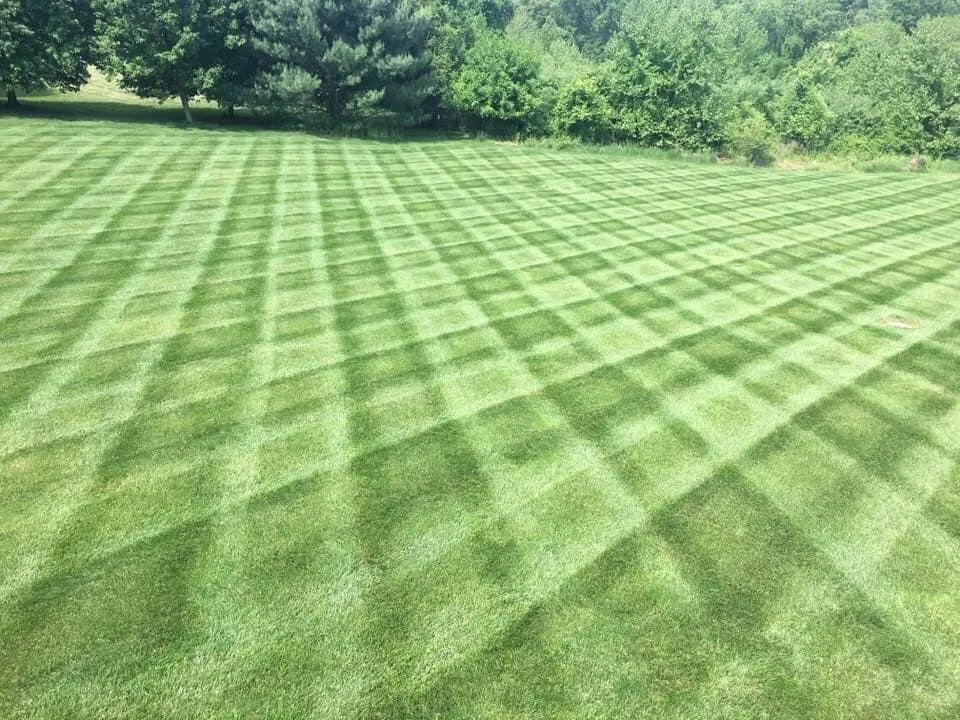 Expert garden landscaping for year-round maintenance in White Hall, MD by North County Property Maintenance