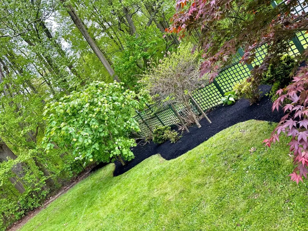 Local yard cleanup service for year-round maintenance across White Hall, MD - North County Property Maintenance