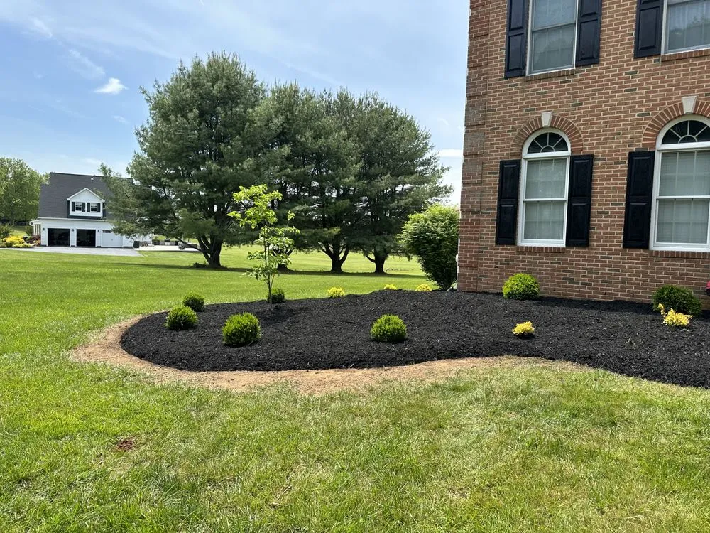 Custom yard maintenance for outdoor upgrades across White Hall, MD - North County Property Maintenance