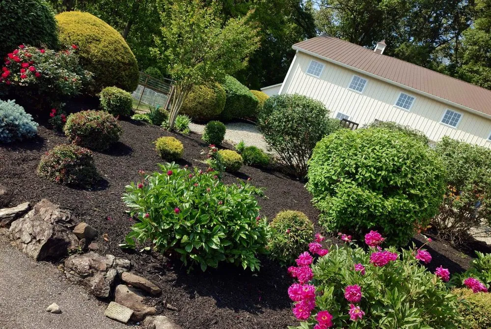 Professional yard cleanup service with custom design in White Hall, MD by North County Property Maintenance