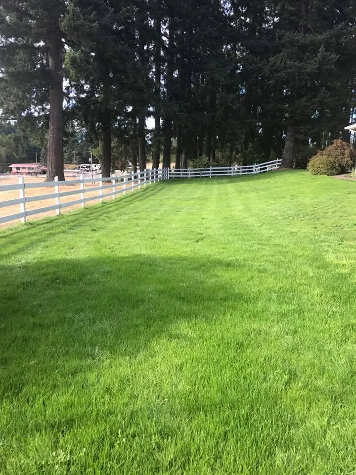 Top-rated landscape design experts serving Shelton, WA - North Cove Landscape Services