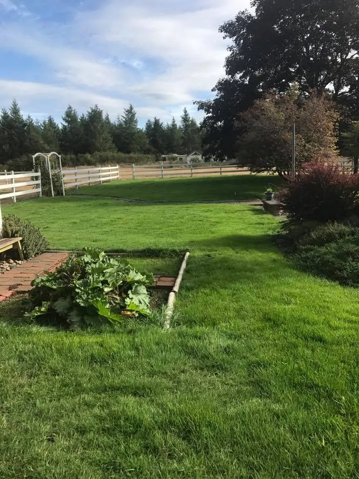 Top-rated outdoor landscaping experts serving Shelton, WA - North Cove Landscape Services