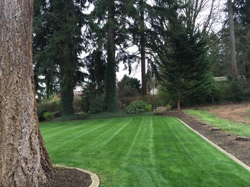 Top-rated lawn mowing service for year-round maintenance in Shelton, WA by North Cove Landscape Services