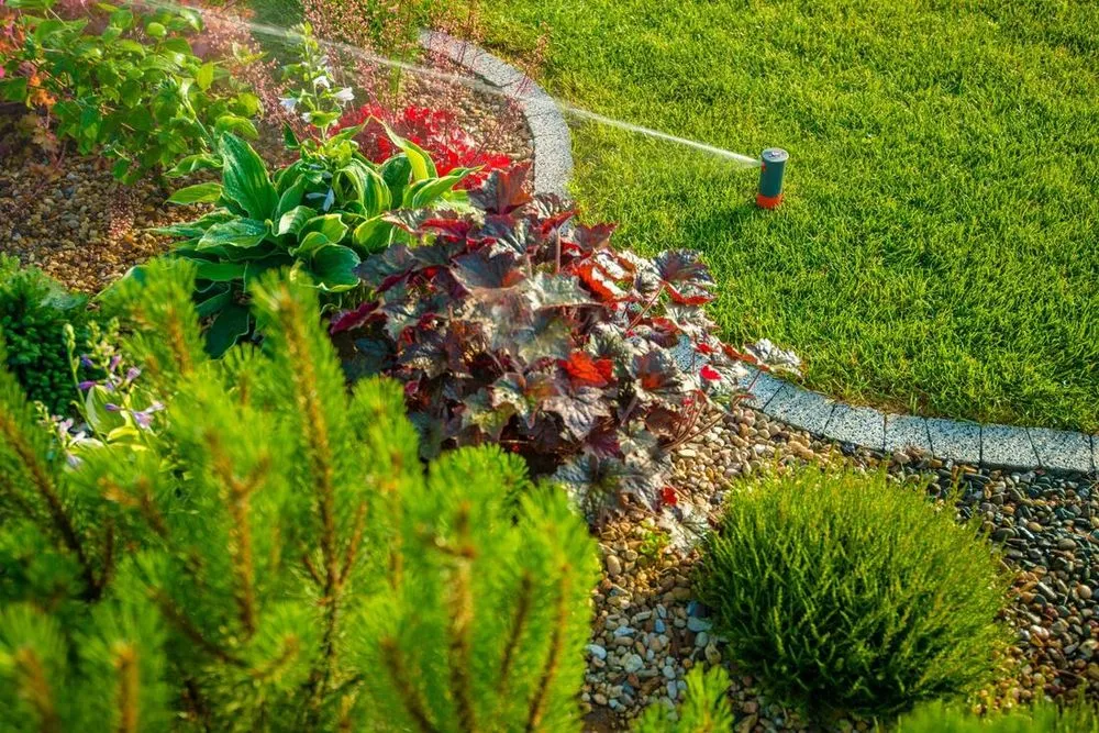 Reliable lawn care service experts serving Bremerton, WA - North Creek Landscape