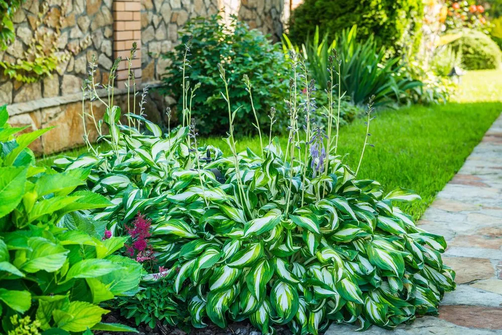 Professional residential landscaping experts serving Bremerton, WA - North Creek Landscape