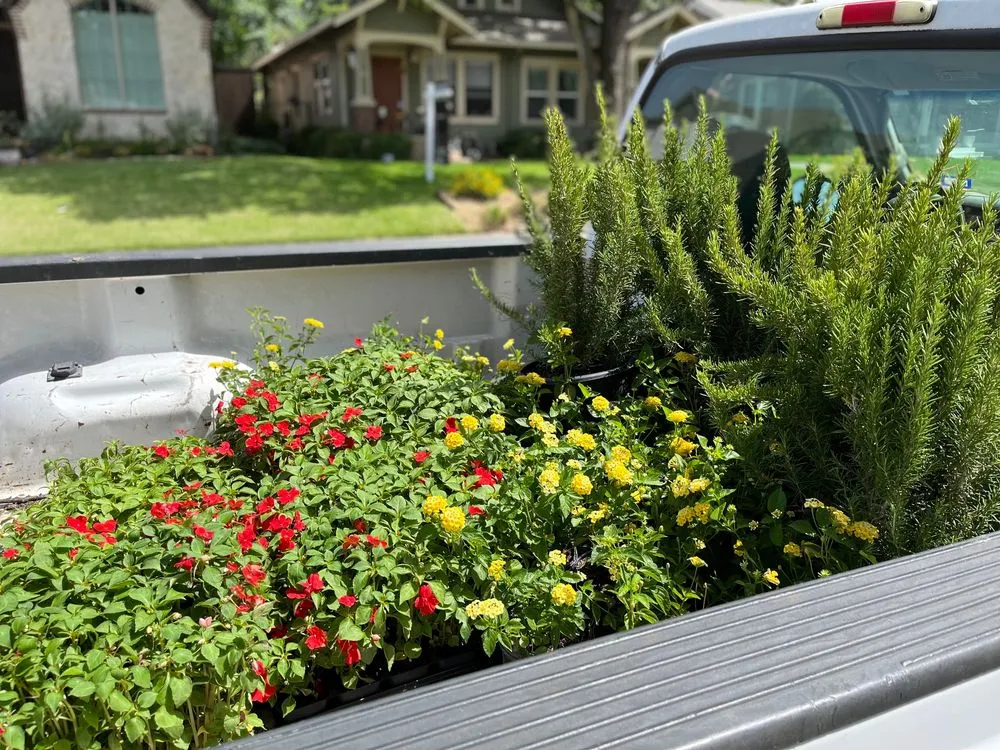 Custom lawn mowing service for year-round maintenance in Dallas, TX by North Dallas Landscapes