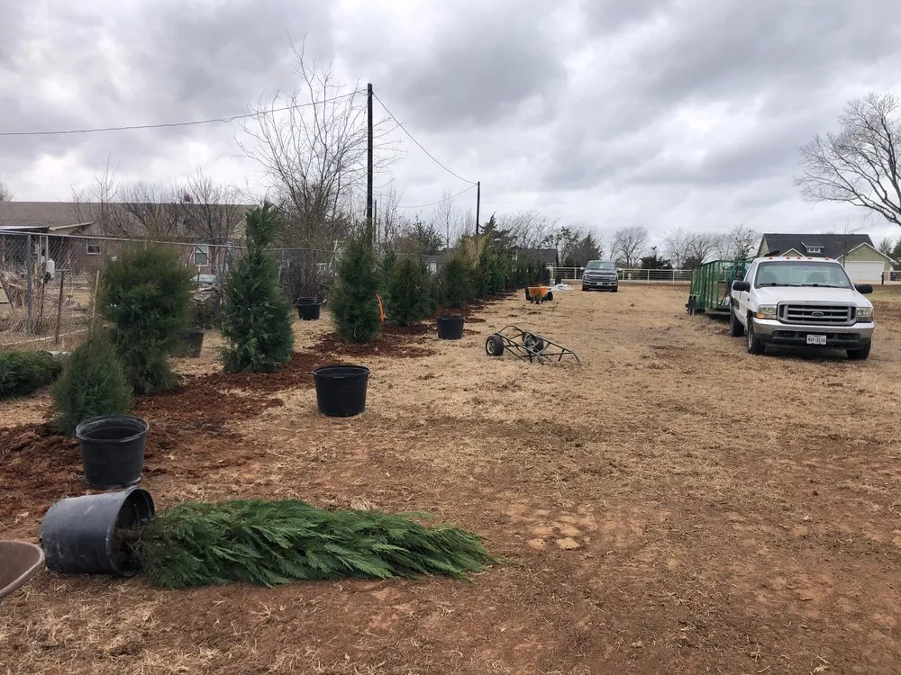 Expert landscape installation experts serving Dallas, TX - North Dallas Landscapes