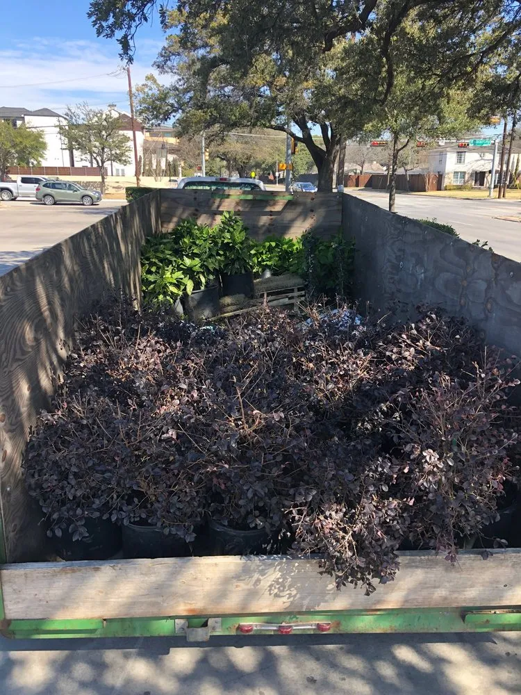 Reliable landscape design in Dallas, TX - North Dallas Landscapes