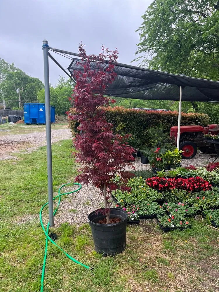 Affordable yard maintenance near you across Dallas, TX - North Dallas Landscapes