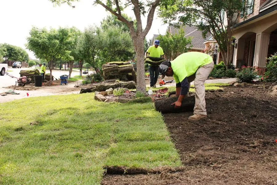 Top-rated landscaping services for beautiful yards in The Colony, TX by North Dallas Tree & Sod