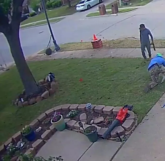 Trusted yard maintenance in The Colony, TX - North Dallas Tree & Sod