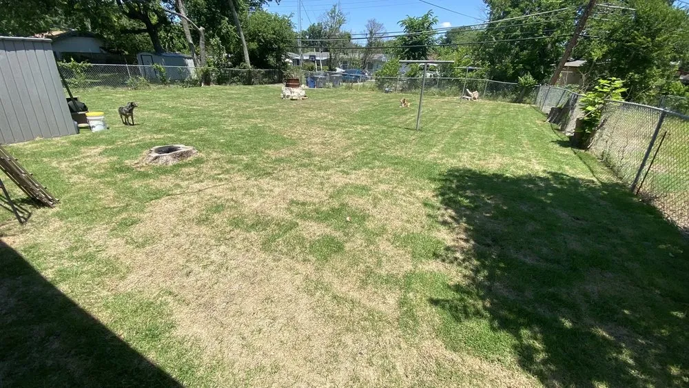 Professional garden landscaping experts serving The Colony, TX - North Dallas Tree & Sod