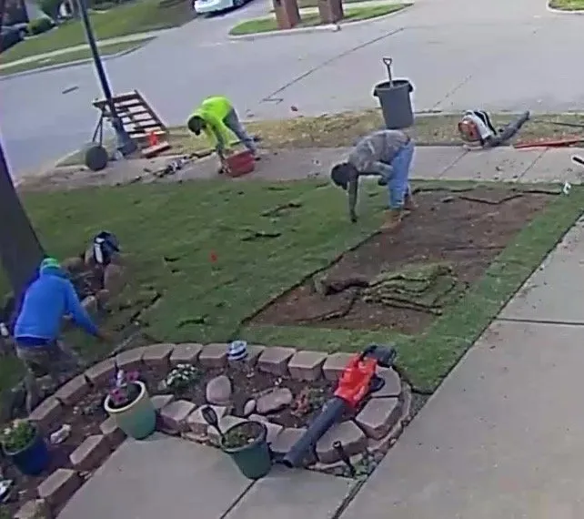 Affordable residential landscaping experts serving The Colony, TX - North Dallas Tree & Sod