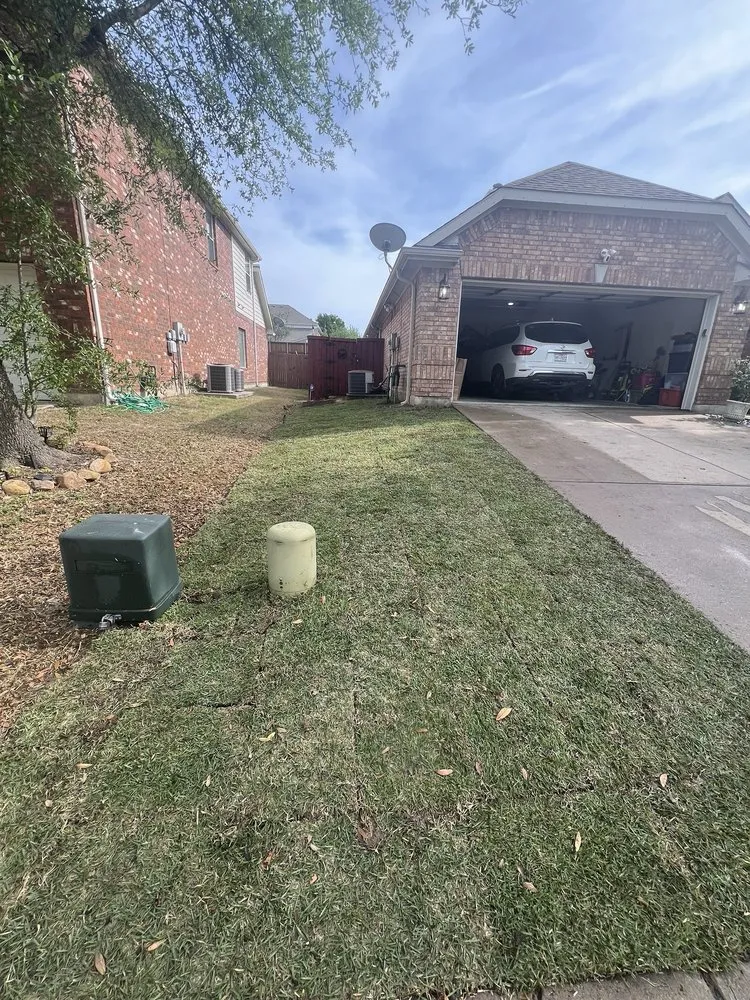 Professional landscape design in The Colony, TX - North Dallas Tree & Sod