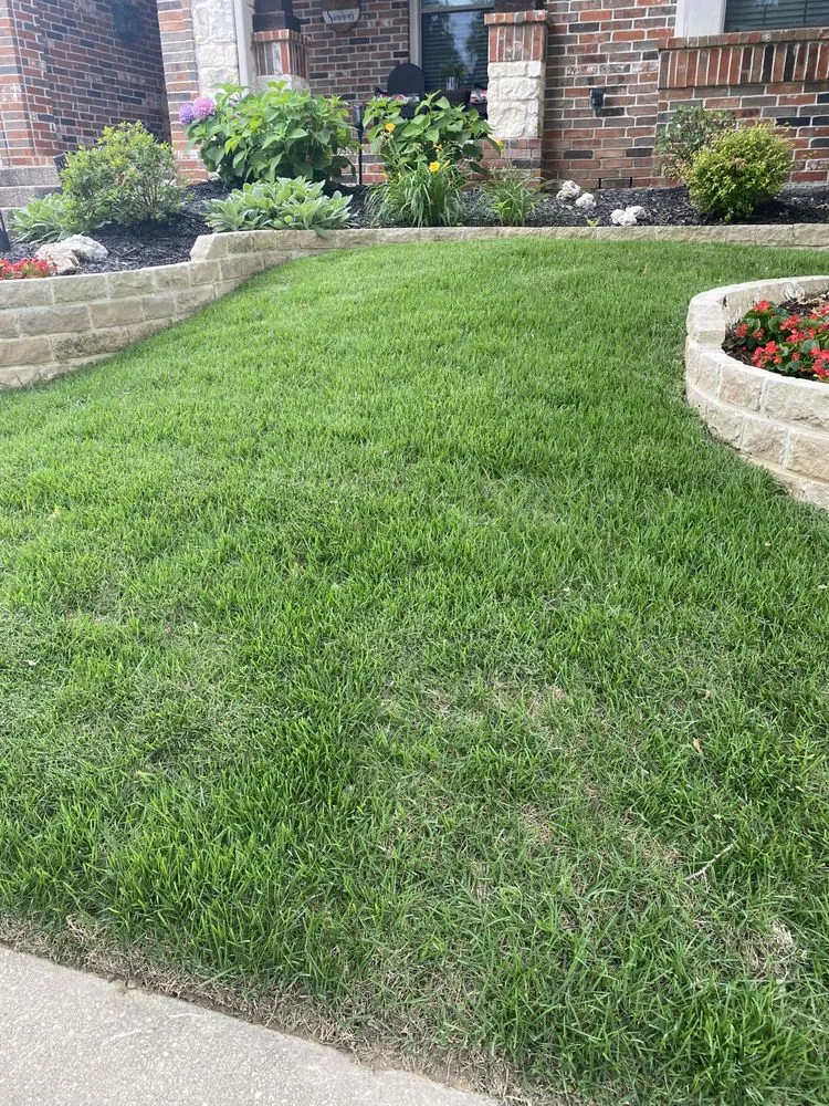Professional lawn care service in The Colony, TX by North Dallas Tree & Sod