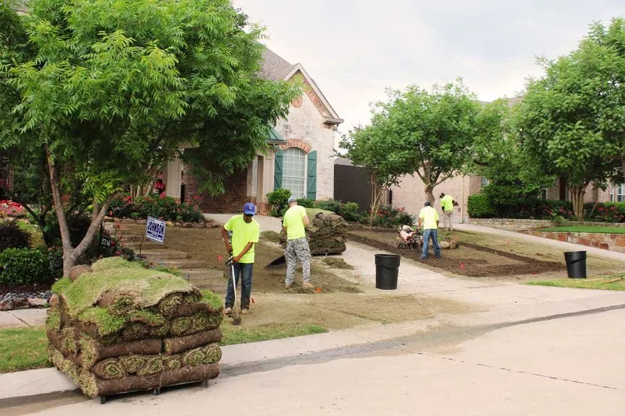 Reliable landscape design for year-round maintenance in The Colony, TX by North Dallas Tree & Sod