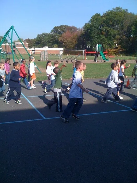 Affordable yard cleanup service for outdoor upgrades across The Colony, TX - North Dallas Tree & Sod