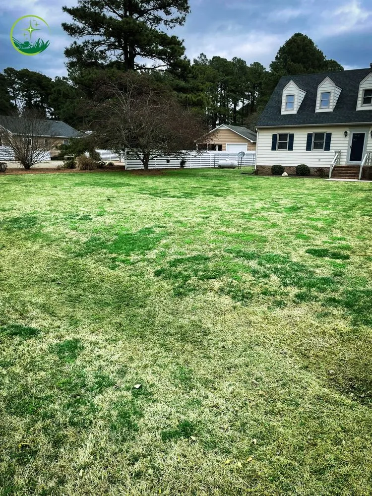 Trusted outdoor landscaping for residential properties across Elizabeth City, NC - North East Blades Of Grass