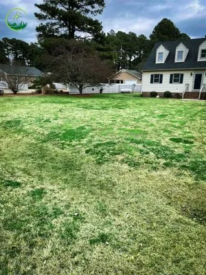 North East Blades Of Grass Logo