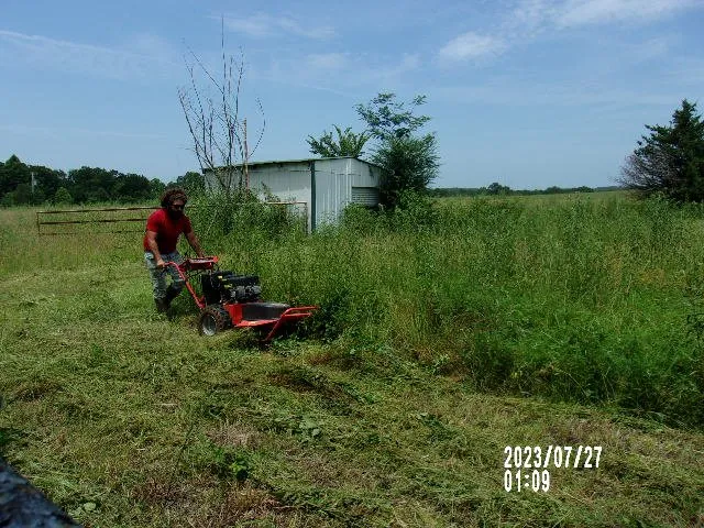 Reliable landscape design for homes across Paris, TX - North East Texas Cleanup Services