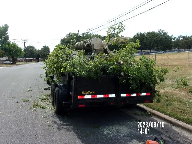 Top-rated lawn care service for year-round maintenance across Paris, TX - North East Texas Cleanup Services