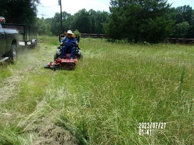 Top-rated outdoor landscaping for beautiful yards across Paris, TX - North East Texas Cleanup Services