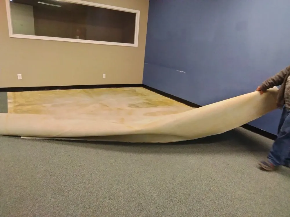 Local yard cleanup service for residential properties in Paris, TX by North East Texas Cleanup Services