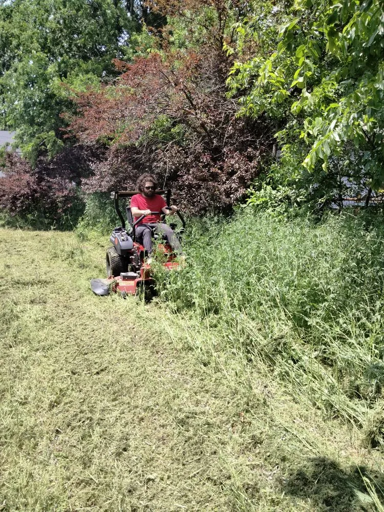 Reliable residential landscaping in Paris, TX - North East Texas Cleanup Services