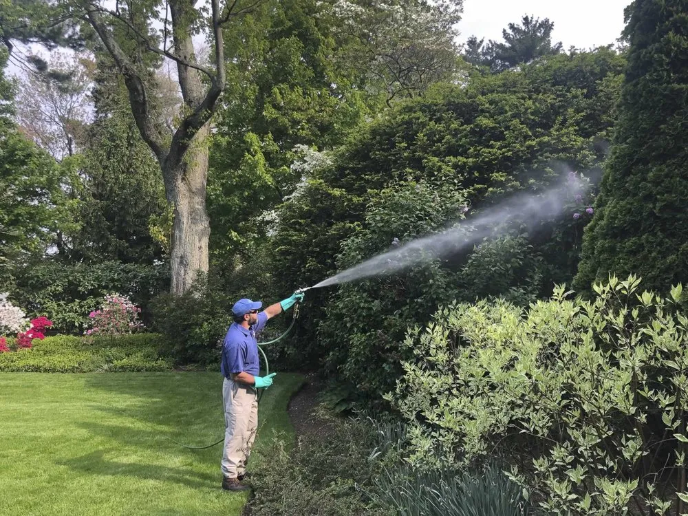 Professional outdoor landscaping in Yonkers, NY - North Eastern Tree, Shrub & Lawn Care